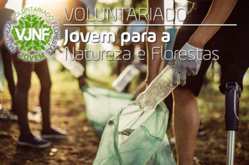 Programa Voluntariado Jovem para a Natureza e Florestas