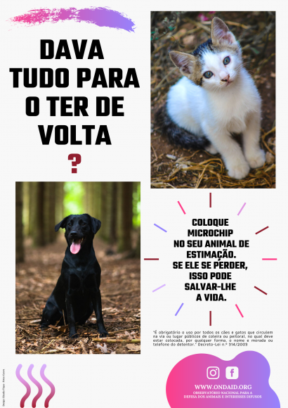 "Dava tudo para o ter de volta?&rdquo; Microchip em animais de companhia