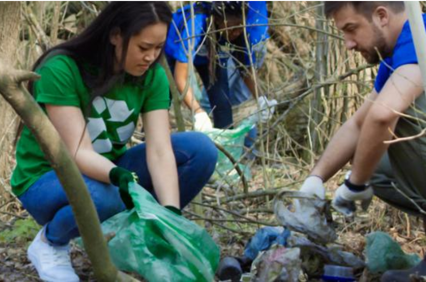 Programa &laquo;Voluntariado Jovem para a Natureza e Florestas&raquo;