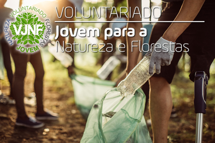 Programa Voluntariado Jovem para a Natureza e Florestas