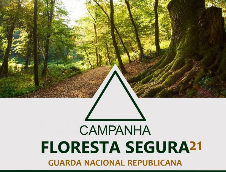 Candidaturas abertas para Operadores de Postos de Vigia.